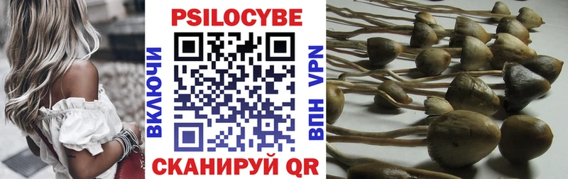 KRAKEN ССЫЛКА  Покров  Псилоцибиновые грибы ЛСД 