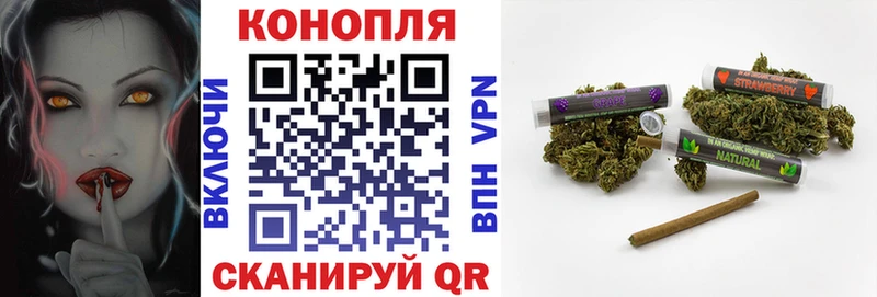 Марихуана гибрид  Покров 
